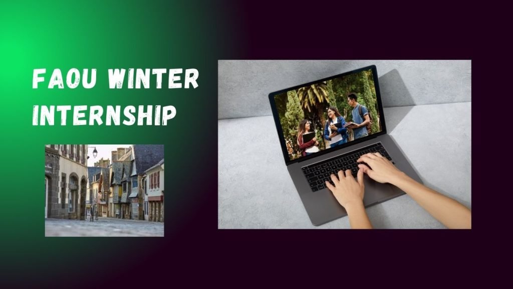 FAOU Winter Internship