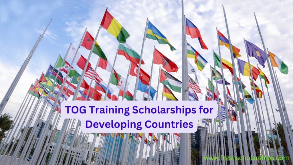 TOG Training Scholarships for Developing Countries