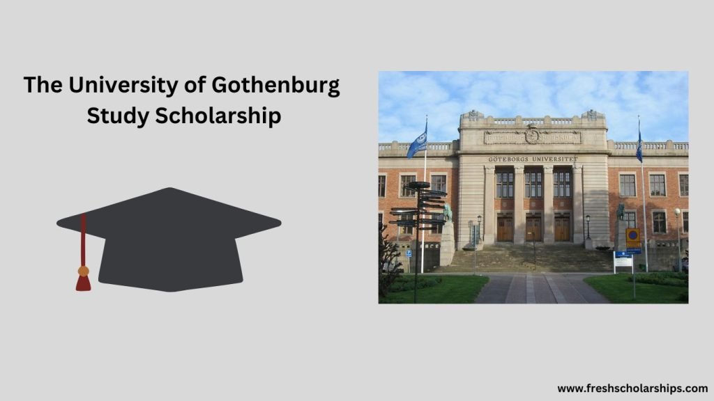 The University of Gothenburg Study Scholarship