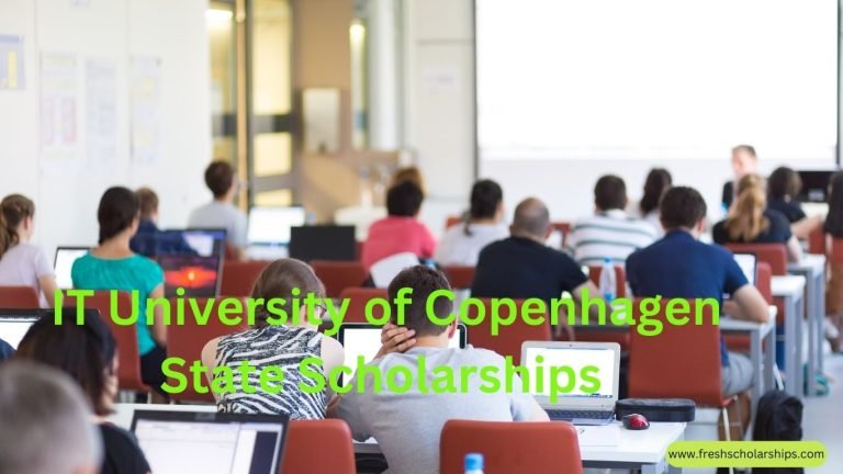 IT University of Copenhagen State Scholarships