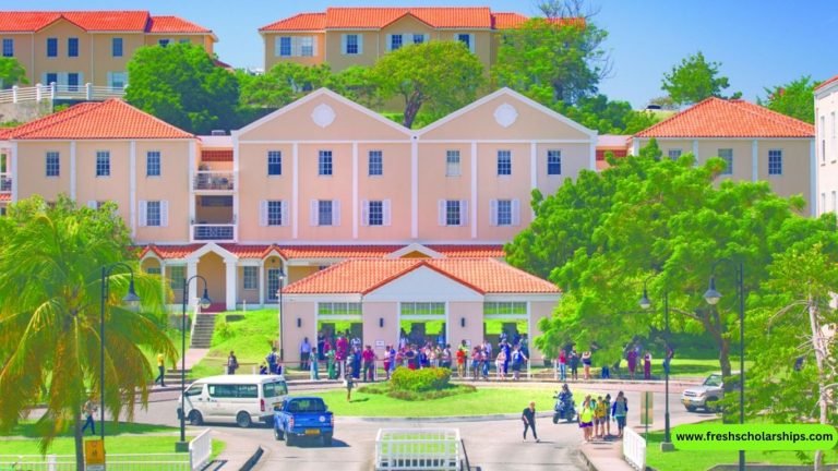 Scholarships for International Students St George University