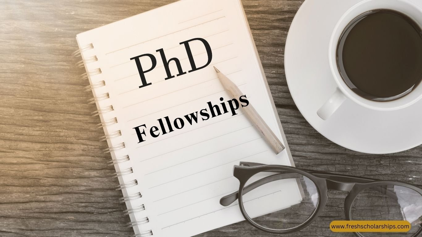 Visual cue of ultrafast research and PhD fellowship focus