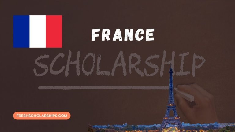 Scholarships in France