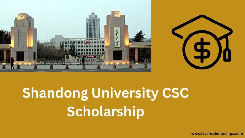 Shandong University CSC Scholarship