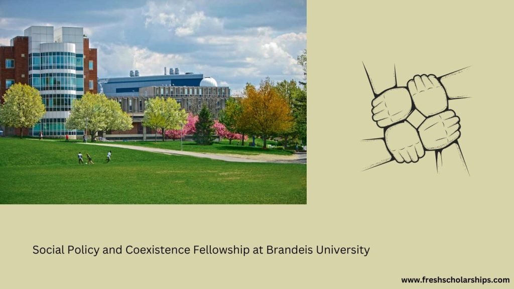 Social Policy and Coexistence Fellowship at Brandeis University