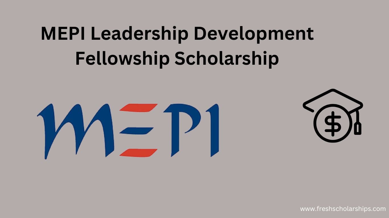 MEPI Leadership Development Fellowship Scholarship