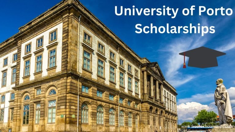 University of Porto Scholarships