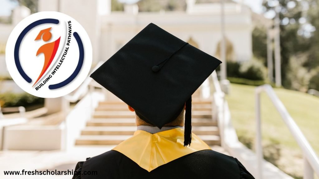 KNB Scholarship 2025